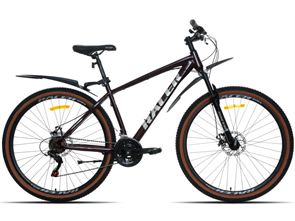 {{photo.Alt || photo.Description || 'Велосипед Racer Boxfer 29 темно-бордовый глянец 2025 рост 18'}}