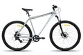 Велосипед Racer Expert 29 серебристый глянец 2025 рост 22 53783